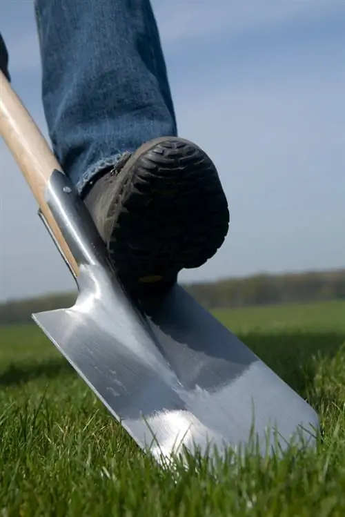 Digging up the meadow