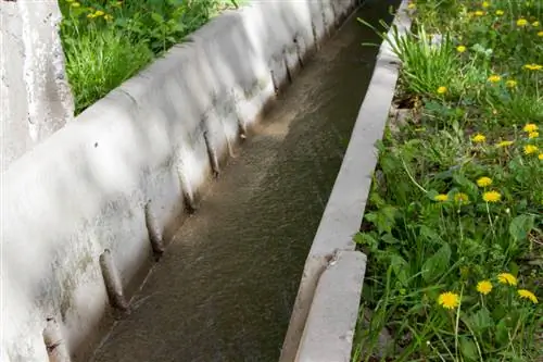 Toskan padang rumput dengan berkesan: Beginilah cara saliran berfungsi