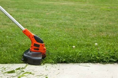 Süs çimlerinin oluşturulması ve bakımı