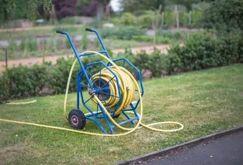 Roll turf care instructions: This is how it grows perfectly