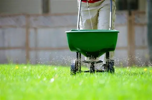 Fertilize turf