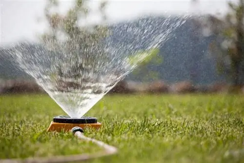 Dorst naar gras? Hoe je het op de juiste manier water geeft