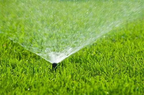 Lawn Sprinkler: Gaano Katagal Mo Ito Dapat Patakbuhin?