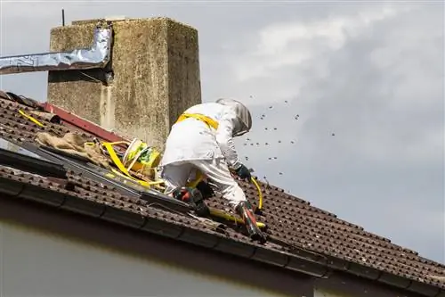 bee's nest under roof tiles