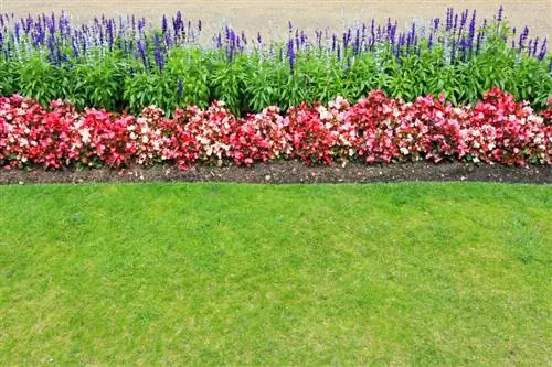 Lawn edges and flower bed edging: Creative ideas and tips