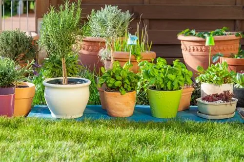 Balcony ya lawn