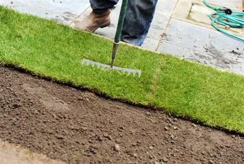 Membuat halaman rumput bebas gulma: petunjuk langkah demi langkah