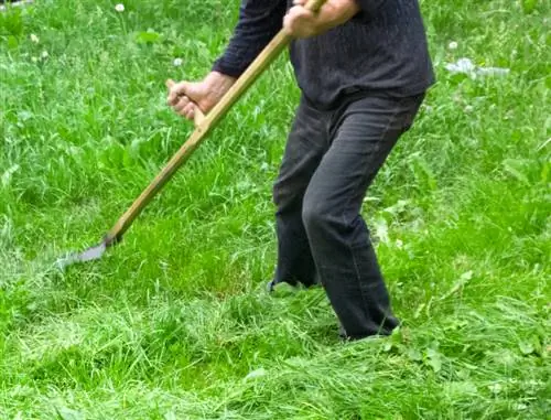 Mowing meadows: This is how you can properly protect biodiversity