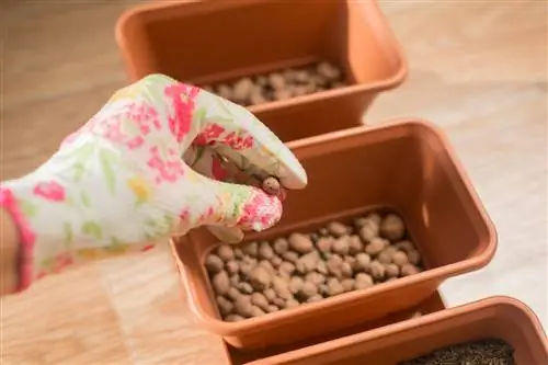 Geëxpandeerde klei als drainage - voordelen en tips voor correct gebruik