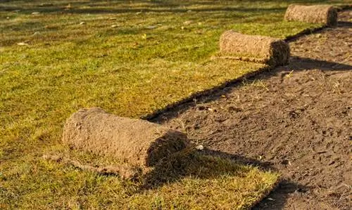 Removing lawn made easy: 4 effective methods