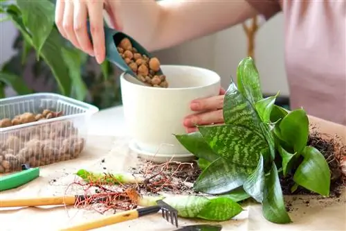 Plantenpotten met geëxpandeerde klei