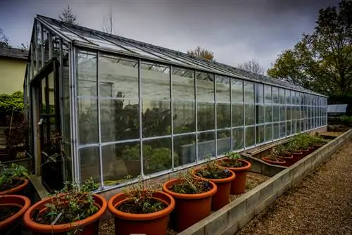 Greenhouse para sa overwintering potted plants