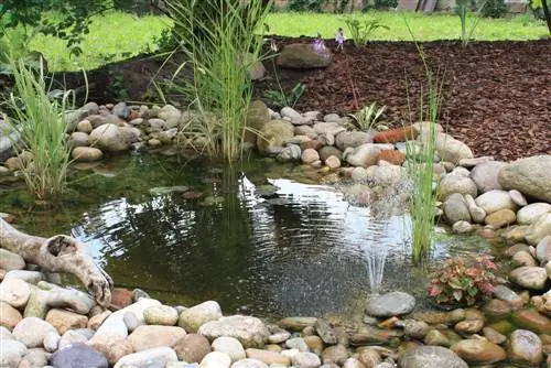 Natural garden pond edging ensures a beautiful look