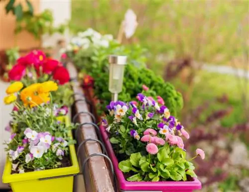 Plant balkonbakken het hele jaar door - tips voor vakkundige permanente beplanting