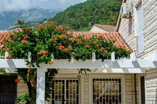 jardín delantero-mediterráneo