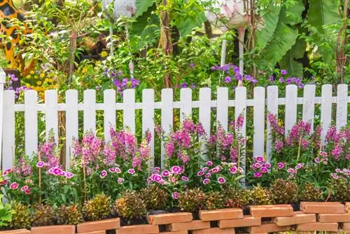 limite du jardin avant