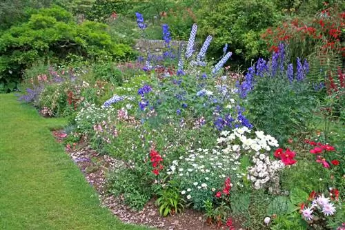 Hur man skapar en pittoresk blomsterträdgård - tips och en planteringsplan