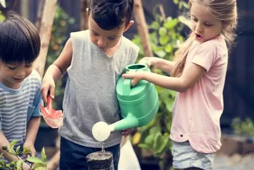 irrigation-sans-connexion-électricité-et-eau