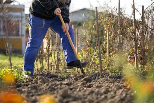 How is the vegetable patch properly prepared?