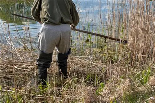 Kiiruste lõikamine – lihtsad juhised ja kasulikud näpunäited