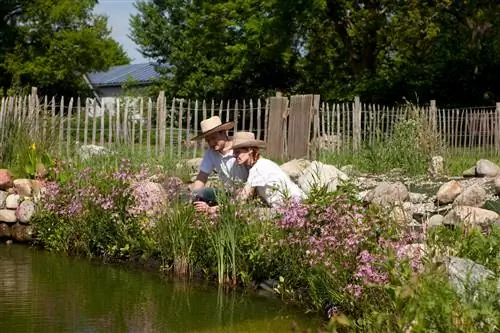 Plant biesies in en om die dam – dit is hoe dit werk