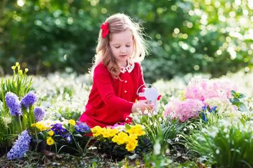 Mereka bentuk lindung nilai hydrangea: Jarak & petua penanaman yang sempurna