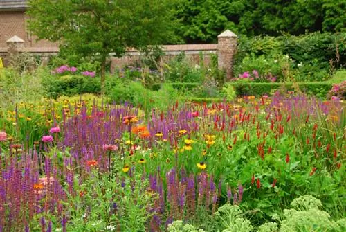 Duizendknoop planten: nuttige informatie voor je eigen tuin