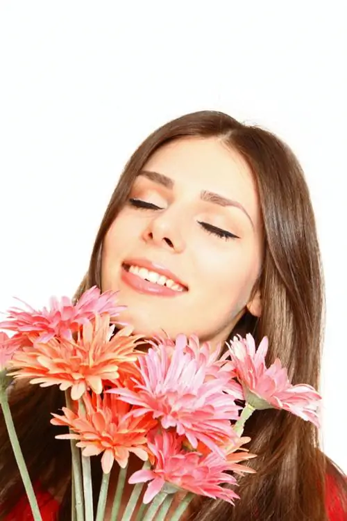 Couper des gerberas pour le vase : Tout ce qu'il faut savoir