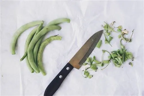 Preparing bush beans