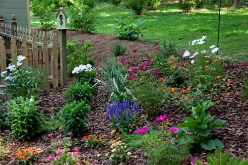 Ortensie e pacciame di corteccia: benefici, applicazione e consigli