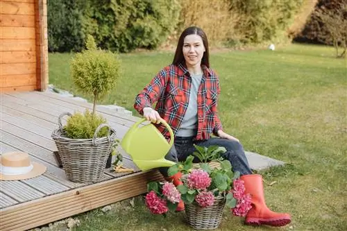 fertilizante de orquídea para hortênsias