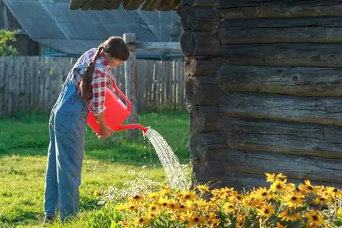 Cuidado de la equinácea: consejos para conseguir flores sanas y exuberantes