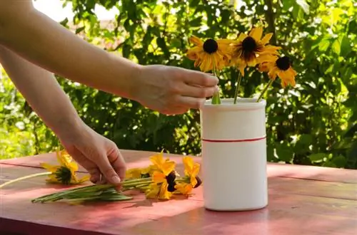 Tagliare l'echinacea: quando e come per una crescita ottimale