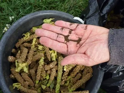 Toorts vermenigvuldigen: zo kun je het gemakkelijk doen