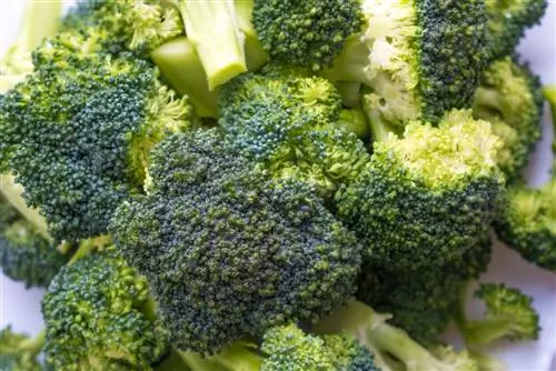 broccoli er blevet lys