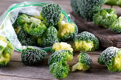 Conservare i broccoli: congelare, far bollire e fermentare