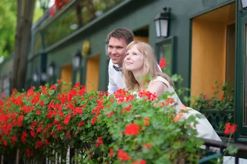 Repellente per zanzare in giardino: gerani profumati come aiutanti naturali