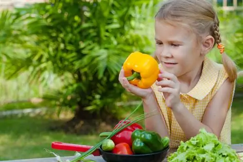 Paprika's oogsten: wanneer en hoe kun je de peulen het beste plukken?