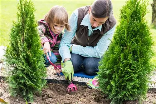 Plantar campanillas de invierno: el momento adecuado para plantar y consejos