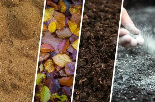 Sand, leaves, garden soil and compost as well as rock dust are a good mixture for growing potatoes in pots