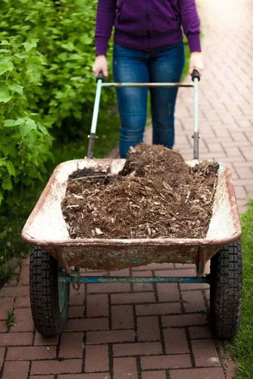 Fertilize potatoes