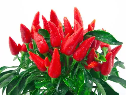 Togli il peperoncino