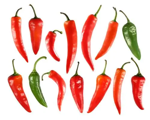 Variedades de chile: Descubre el mundo del picante y los sabores