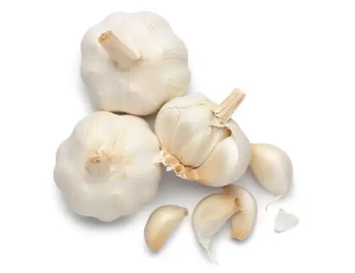 Planting garlic: Two methods for a successful harvest