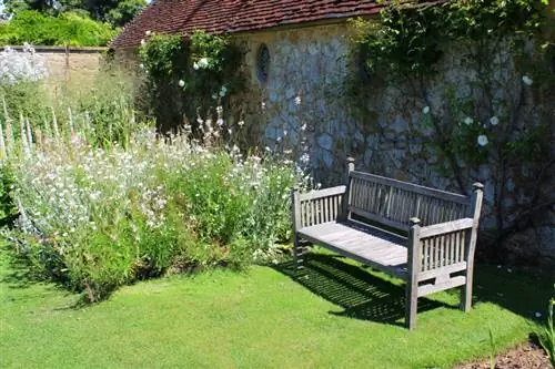 Emplacement idéal pour faire fleurir des bougies : voici comment cela fonctionne