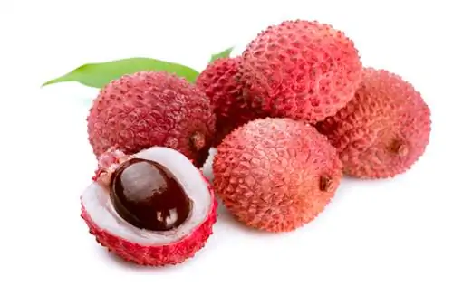 Kweek lychee