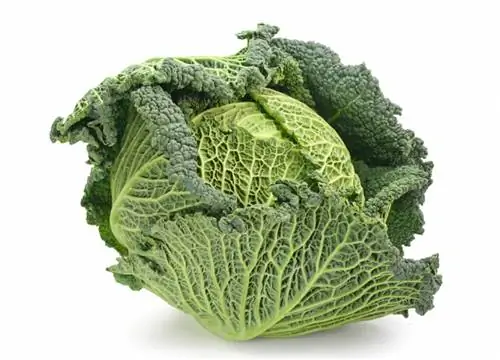 Savoy cabbage time