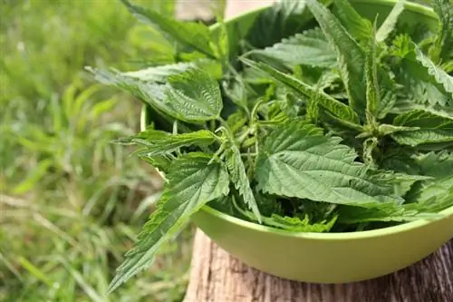 Nettles against weeds