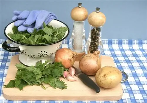 Brandnetel eten: Gezond, lekker en veelzijdig