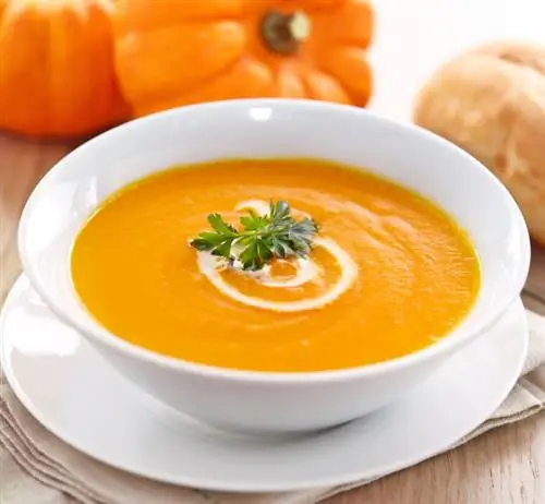 Pumpkin: fruit or vegetable? The surprising truth